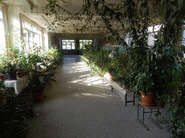 8 գրադարան 1